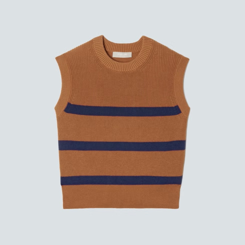 Everlane Brown and Blue Striped Sweater Vest